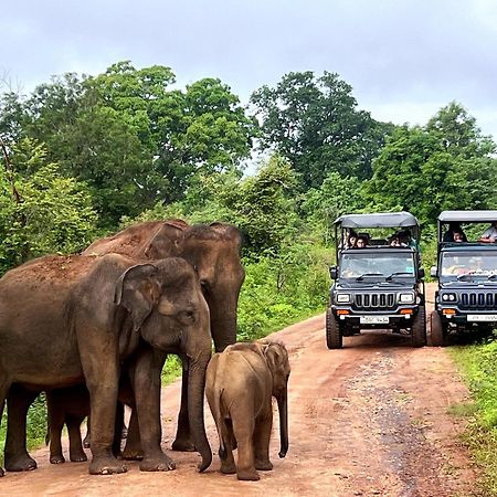 Jungle Lodge Udawalawe Zewnętrze zdjęcie